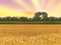 开云官方网站基地展示3