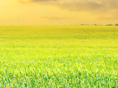 开云官方网站基地展示1